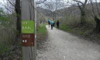 2apr2023-LAGHI-REVINE-25