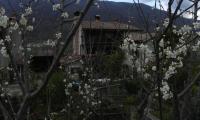 2apr2023-LAGHI-REVINE-32