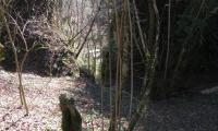2mar2025-GOR-DEA-CUNA-102