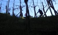 2mar2025-GOR-DEA-CUNA-32