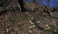 2mar2025-GOR-DEA-CUNA-71