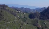 2mar2025-GOR-DEA-CUNA-90