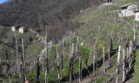2mar2025-GOR-DEA-CUNA-92