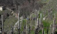 2mar2025-GOR-DEA-CUNA-93