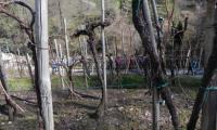2mar2025-GOR-DEA-CUNA-98