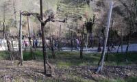 2mar2025-GOR-DEA-CUNA-99