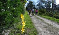 2ott2022-LE-CREPE-FARRA-32