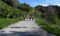 2ott2022-LE-CREPE-FARRA-33