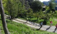 2ott2022-LE-CREPE-FARRA-38