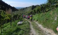 2ott2022-LE-CREPE-FARRA-41