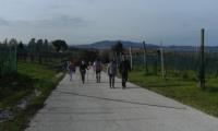 3apr2022-4-PASS-4