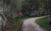 3apr2022-4-PASS-5