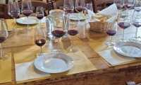 4-5giu2022-CHIANTI-133