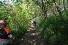 05 maggio 2024 - Montello