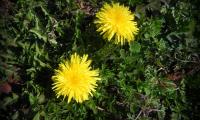 5mar2023-S.ANNA-24