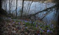 5mar2023-S.ANNA-33