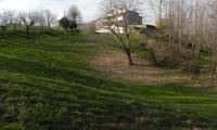 9mar2025-S.MAMA-sentiero-ROMANAZZI-12