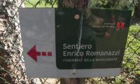 9mar2025-S.MAMA-sentiero-ROMANAZZI-18