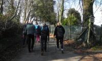 9mar2025-S.MAMA-sentiero-ROMANAZZI-19