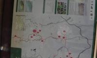 9mar2025-S.MAMA-sentiero-ROMANAZZI-22