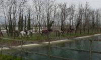 9mar2025-S.MAMA-sentiero-ROMANAZZI-63