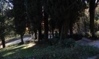 1dic2024-NERVESA-ABBAZIA-31