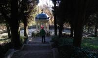 1dic2024-NERVESA-ABBAZIA-32