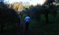 1dic2024-NERVESA-ABBAZIA-4