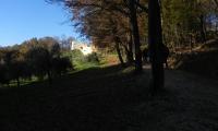 1dic2024-NERVESA-ABBAZIA-9