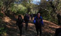 10nov2024-MONFENERA-27