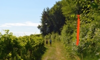 RUA-2023_061