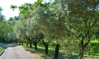 RUA-2023_062