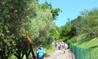 RUA-2023_063