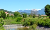 RUA-2023_065