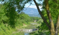 RUA-2023_072