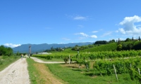 RUA-2023_073