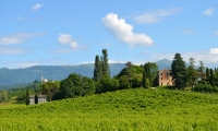 RUA-2023_076