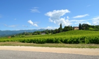 RUA-2023_078