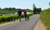 RUA-2023_079