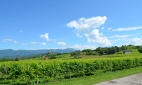 RUA-2023_081