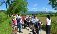 RUA-2023_087