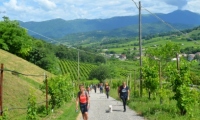 RUA-2023_093