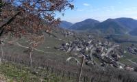 12febb2023-FOLLO-50