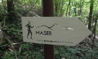 12magg2024-MASER-14