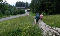 13giu2023-PIANEZZE-13