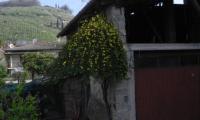 17mar2024-GOR-DEA-CUNA-2