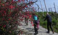17mar2024-GOR-DEA-CUNA-25