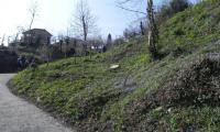 17mar2024-GOR-DEA-CUNA-26