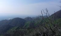 17mar2024-GOR-DEA-CUNA-29