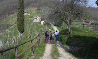 17mar2024-GOR-DEA-CUNA-34